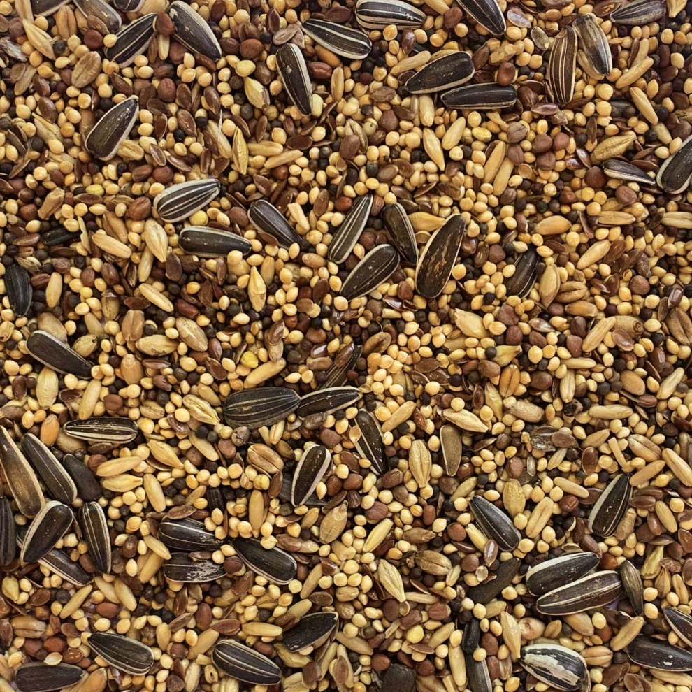 Tui Aviary Bird Seed Mix Birdseed.co.nz